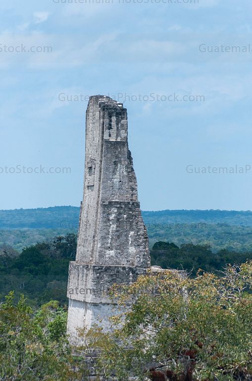 Cresteria Templo III, Tikal
