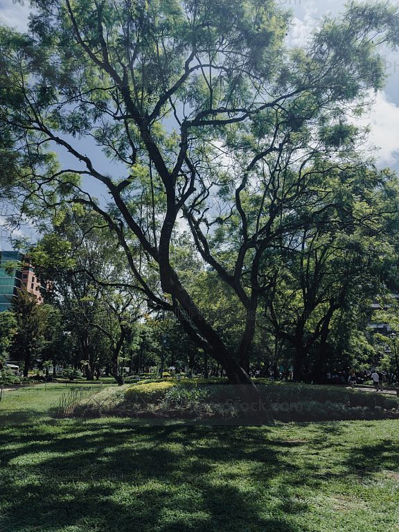 Avenida Las Americas, Zona 13