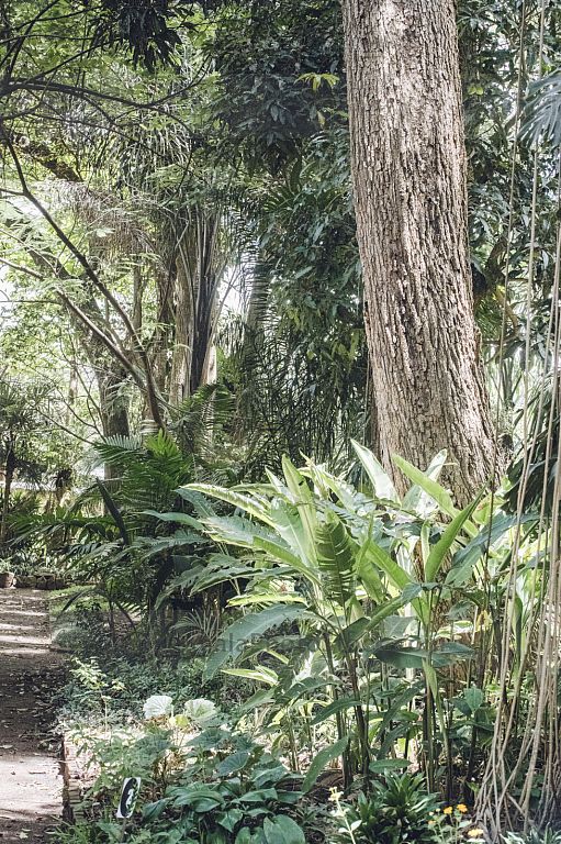 Sendero del Jardín Botanico