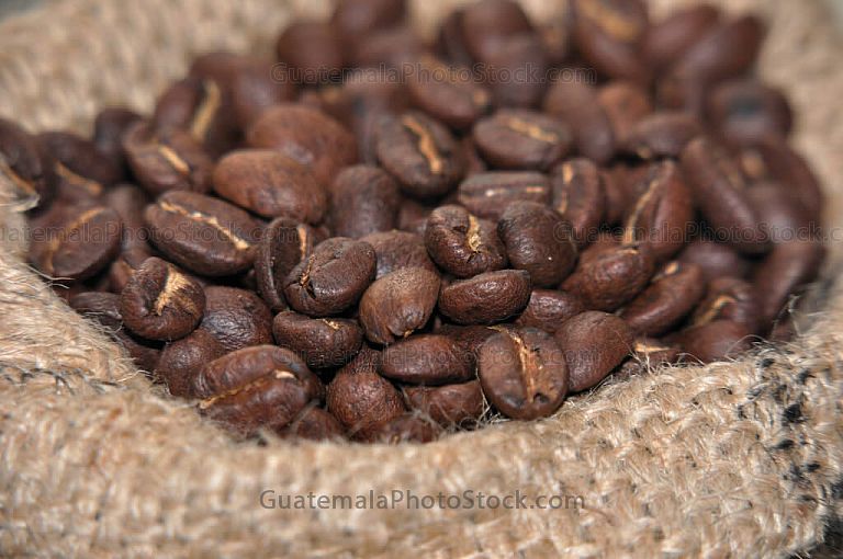 Granos de café tostado