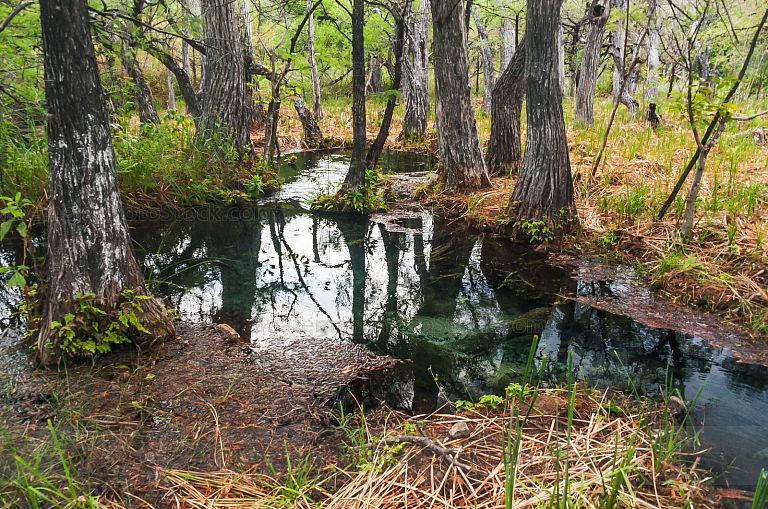 Nacimiento del Río Lagartero