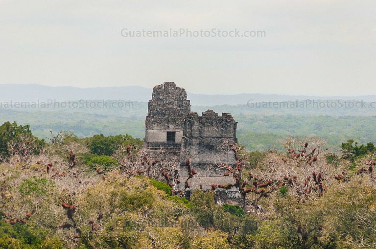Parque Nacional Tikal