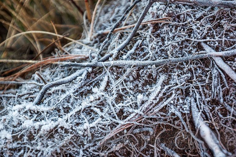 Escarcha de hielo en el crater del Volcán de Agua
