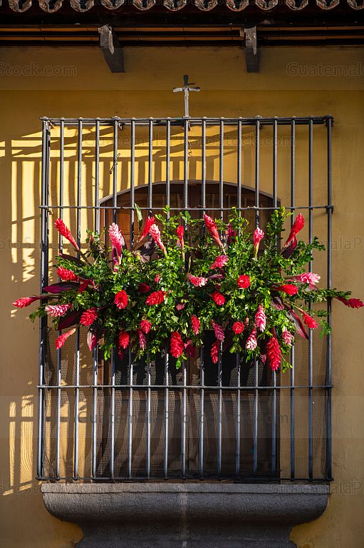 Festival de las flores