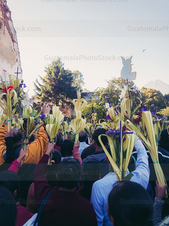 Domingo de ramos, Semana Santa 2018