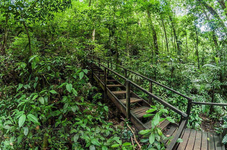 Sendero del mirador en Semuc Champey