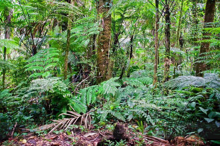 Biodiversidad