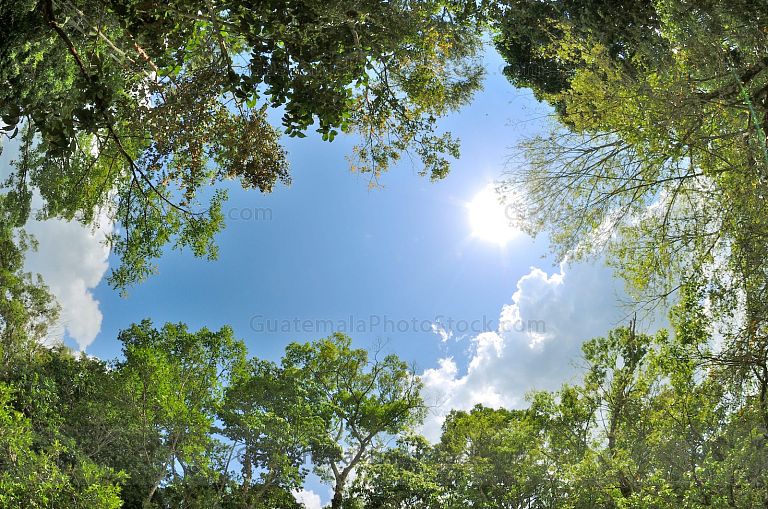 Un pedazo de cielo