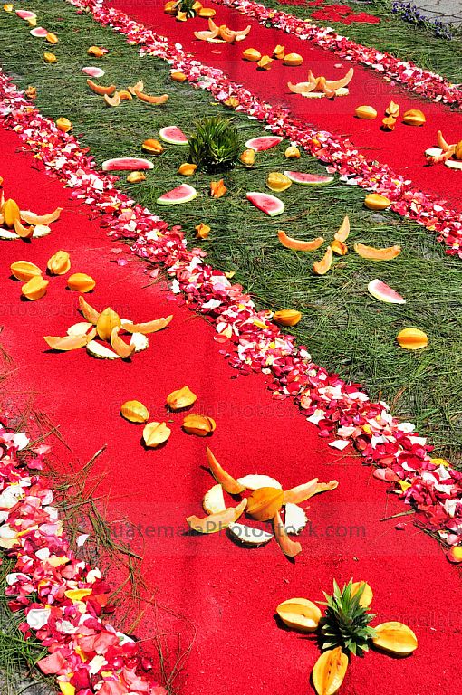 Alfombra de aserrín, pino y frutas