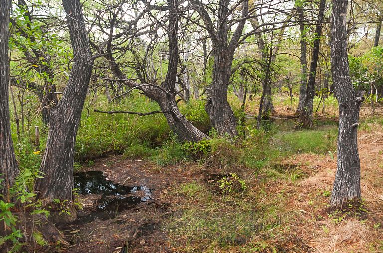 Nacimiento del Río Lagartero