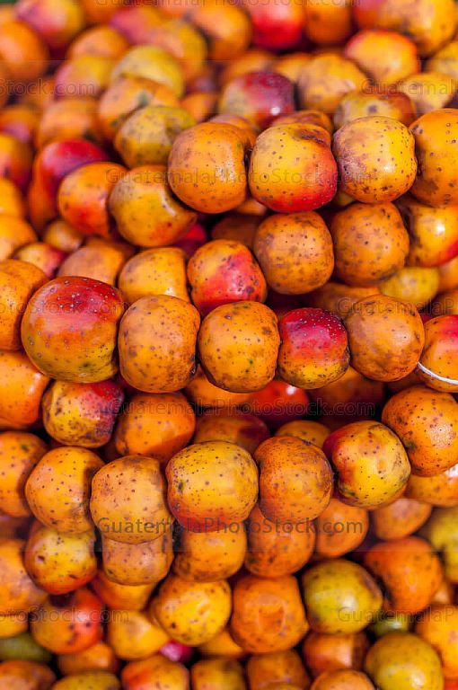 Manzanilla