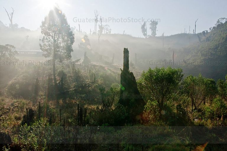Sierra de Chamá
