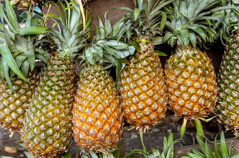 Piñas