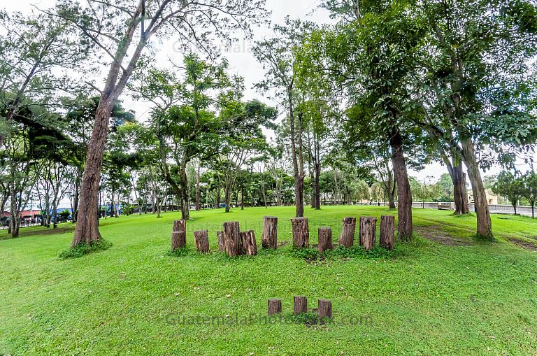 Bosque sonoro