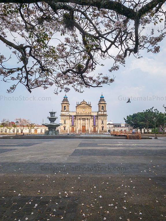 Plaza central y catedral bicentenaria
