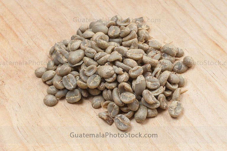 Granos de café oro