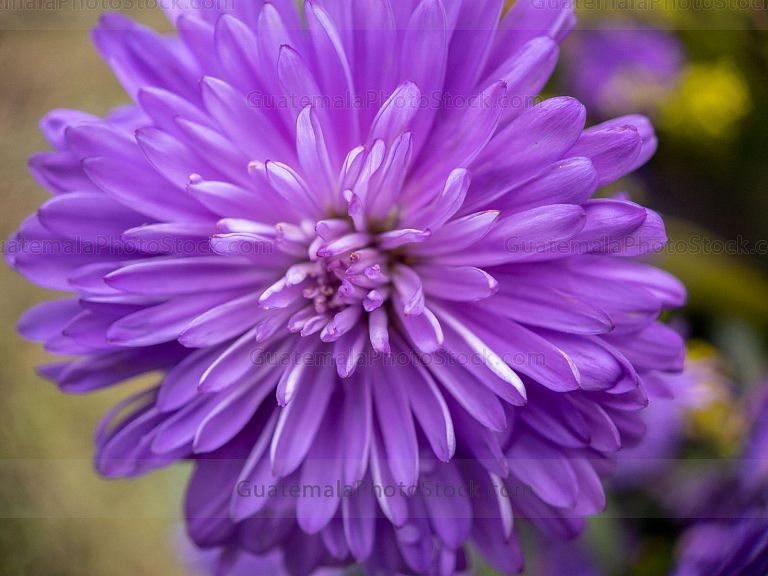 Macro naturaleza