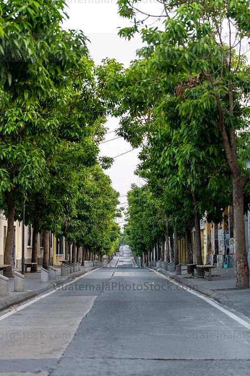 Sexta Avenida, 3ra. y 4ta. Calle Centro Histórico, Zona 1