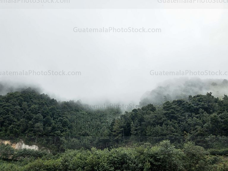 Montaña Nubosa