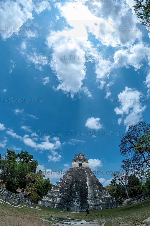 Templo I de Tikal, Gran Jaguar, Tikal
