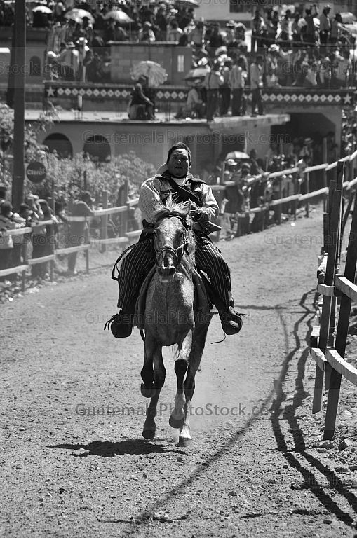 Carrera de caballos