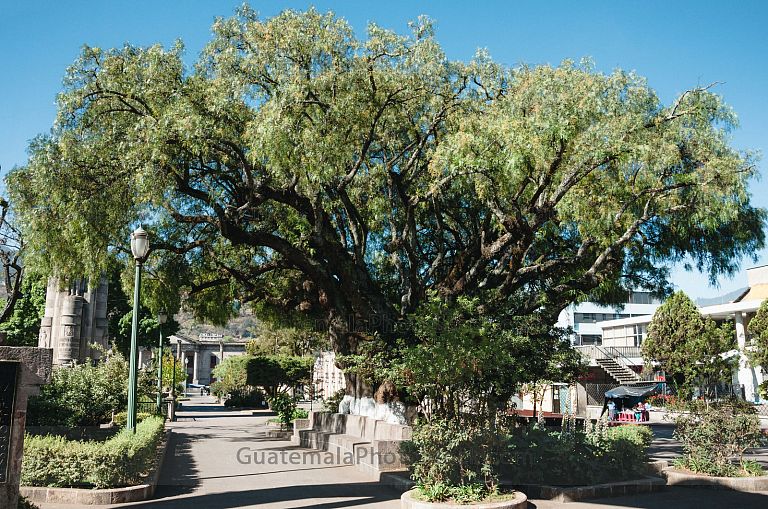 Parque central de Quetzaltenango