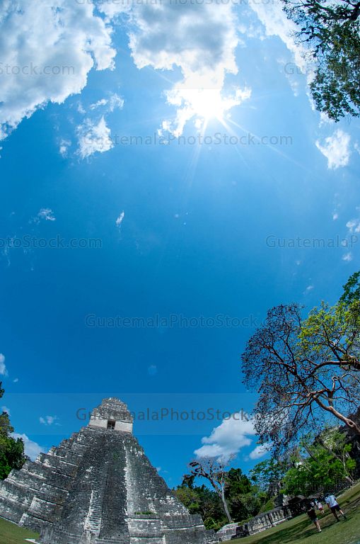 Templo I de Tikal, Gran Jaguar, Tikal