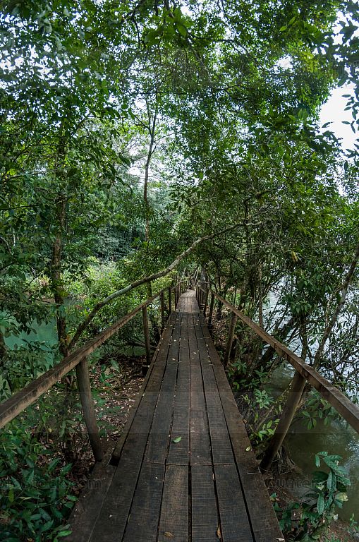 Sendero en el Parque Ecológico Las Conchas