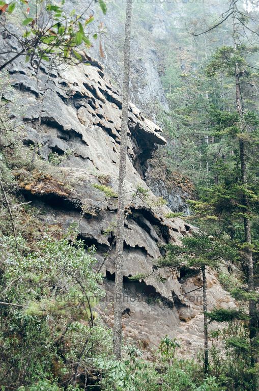 Sendero Ecológico La Maceta