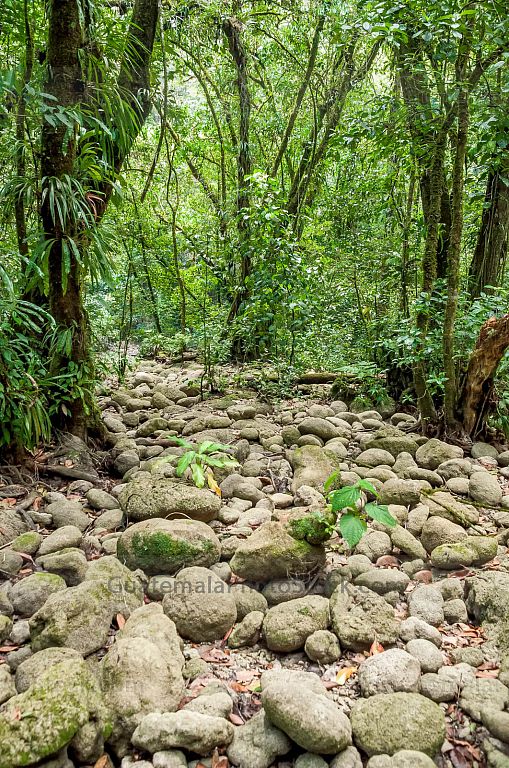 Sendero alrededor de Laguna Brava