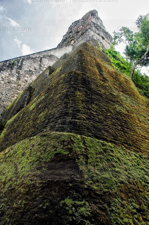 Templo V del Parque Nacional Tikal