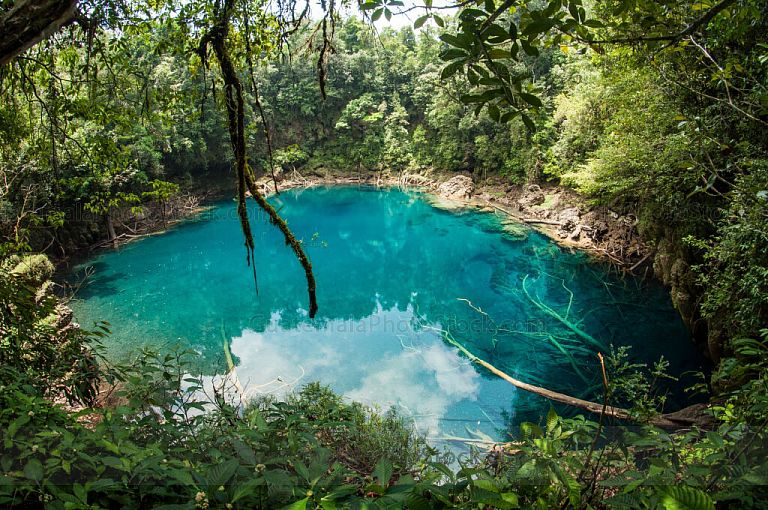 Cenote de Laguna Brava