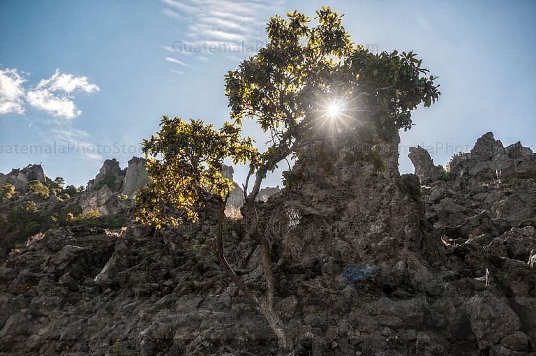 Cerro Quemado