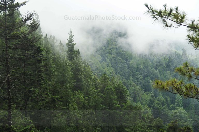 Sendero Ecológico La Maceta