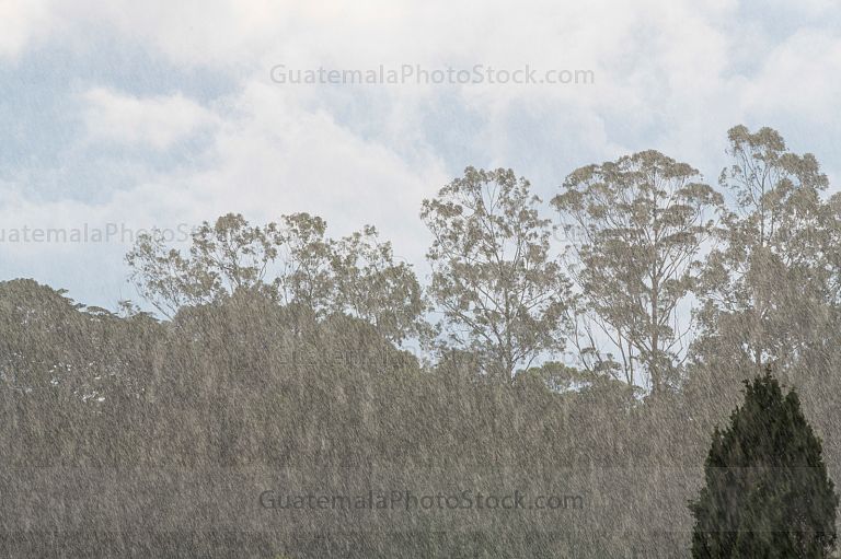 Lluvia