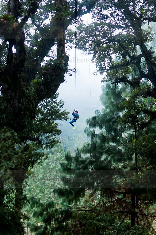 Canopy en el Parque Ecológico Pino Dulce