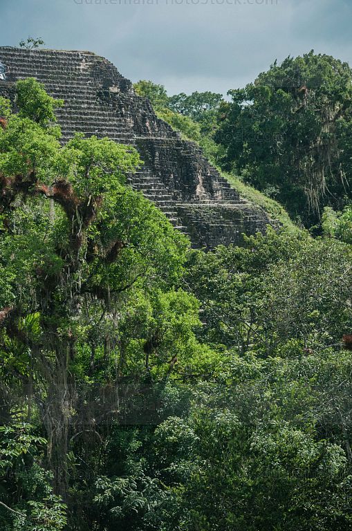 Vestigios mayas en Tikal