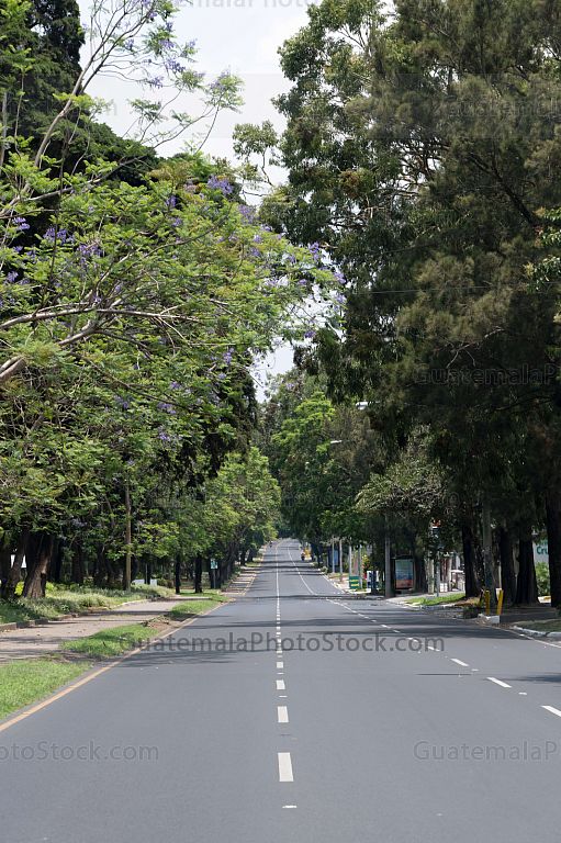 Las Americas, Zona 14
