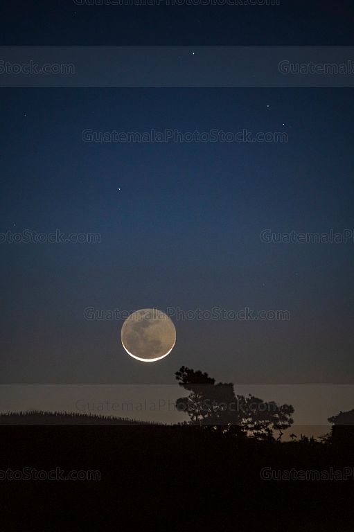Luna naciente, diciembre 2020