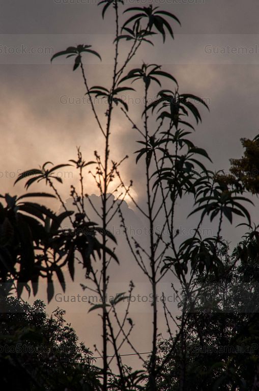 Atardecer