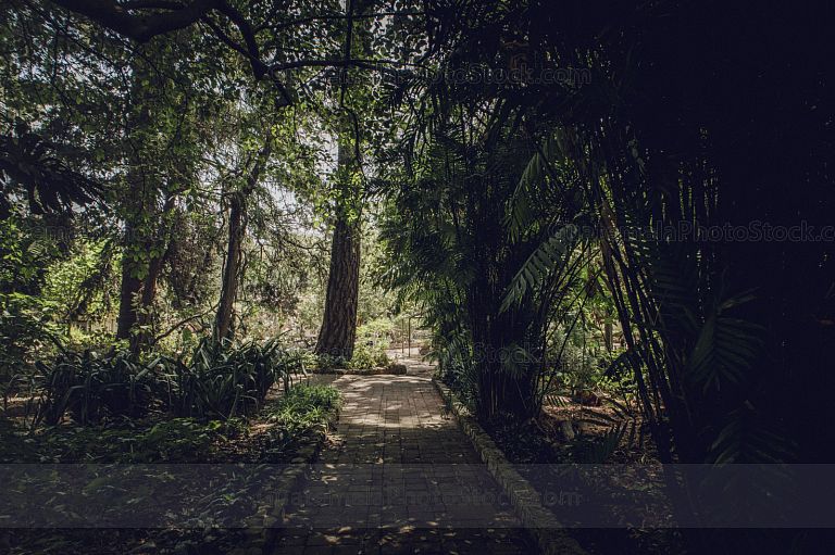 Sendero en el Jardín Botanico