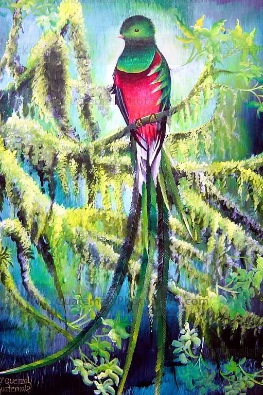 Quetzal