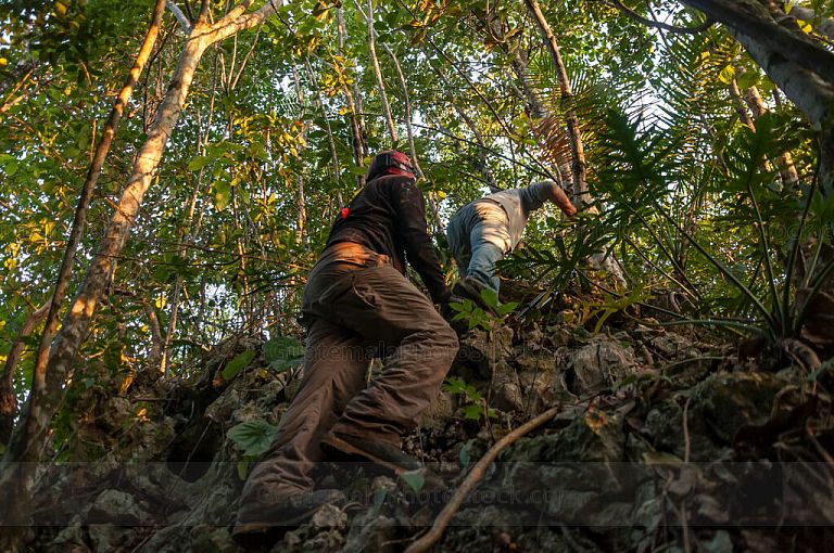 Escalando un monticulo en la selva tropical