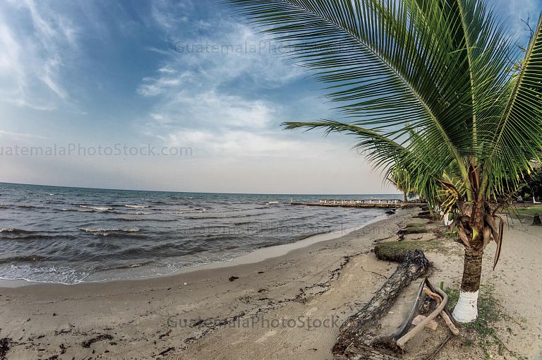 Playa Salvador Gaviota en Quehueche