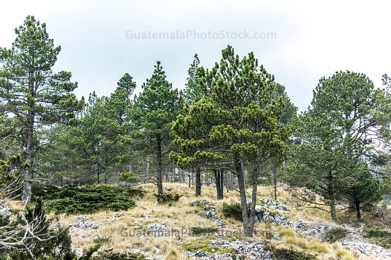 Paisaje rocoso del Parque Regional de Todos Santos