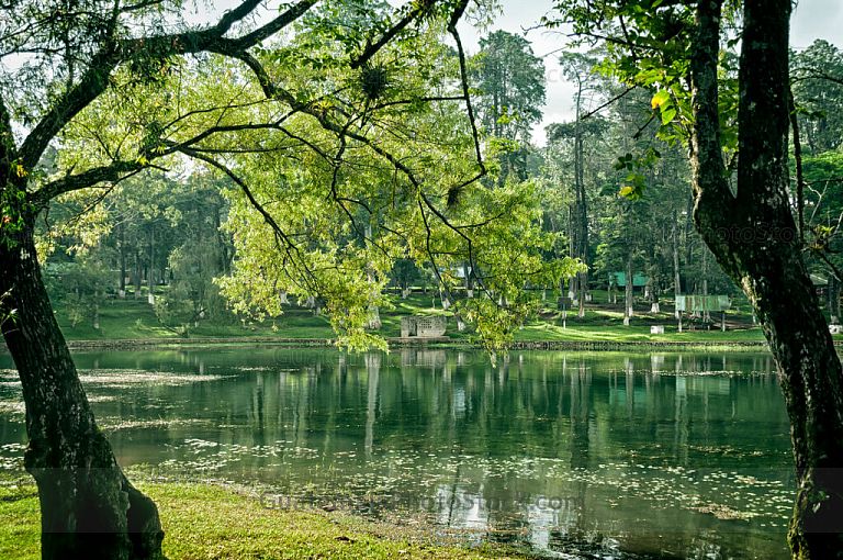Laguna El Pino