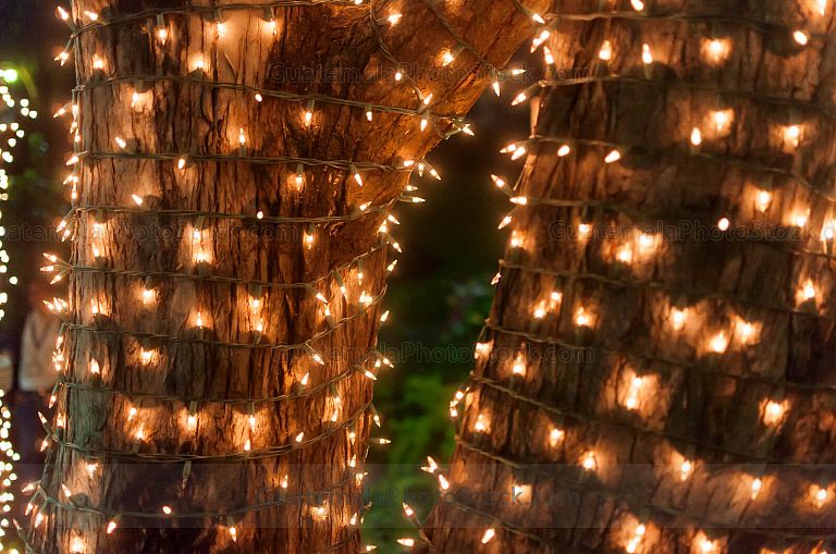 Luces navideñas