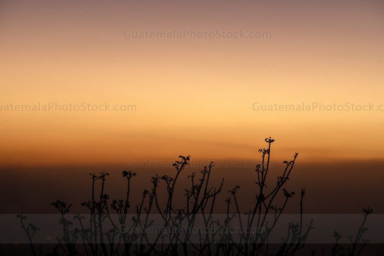 Atardecer sobre la Costa Sur
