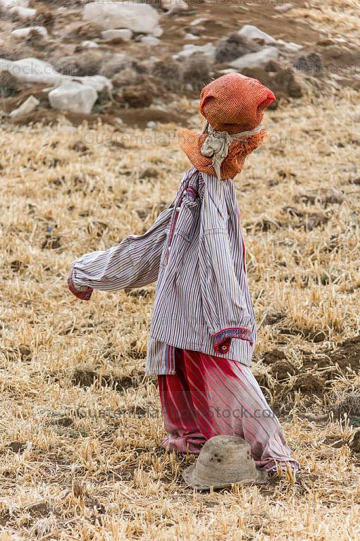 Espantapajaros en la Sierra de los Cuchumatanes
