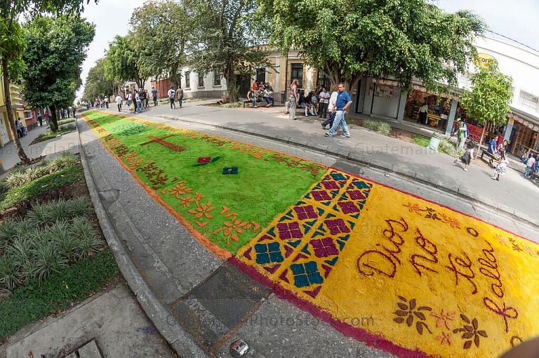 Alfombra del Paseo de la Sexta Avenida